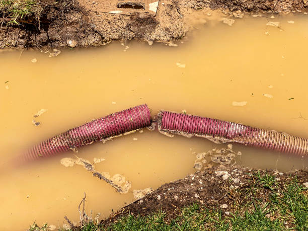 Best Carpet water damage restoration  in Butler, NJ